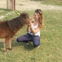 Grace violet perry  - @perry_grace - Twitter