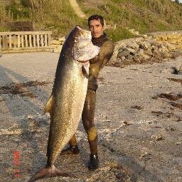 pagina dedicada a la pesca submarina,aqui encontraras informacion sobre campeonatos,fotos,videos, ect... sobre la pesca submarina.