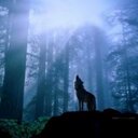 steve bravo - @BravoSteven - Twitter