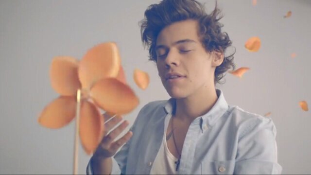 Harry edward styles is perfect :P