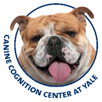 CCC@Yale (@yaledoglab) 's Twitter Profile