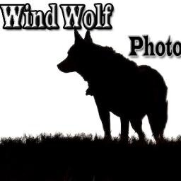 Commercial, Product, Freelance, & Stock Photographer, Investor & Entreprenuer, Animal Welfare & Responsible Breeding Advocate, Blogger & Studio Dog Trainer