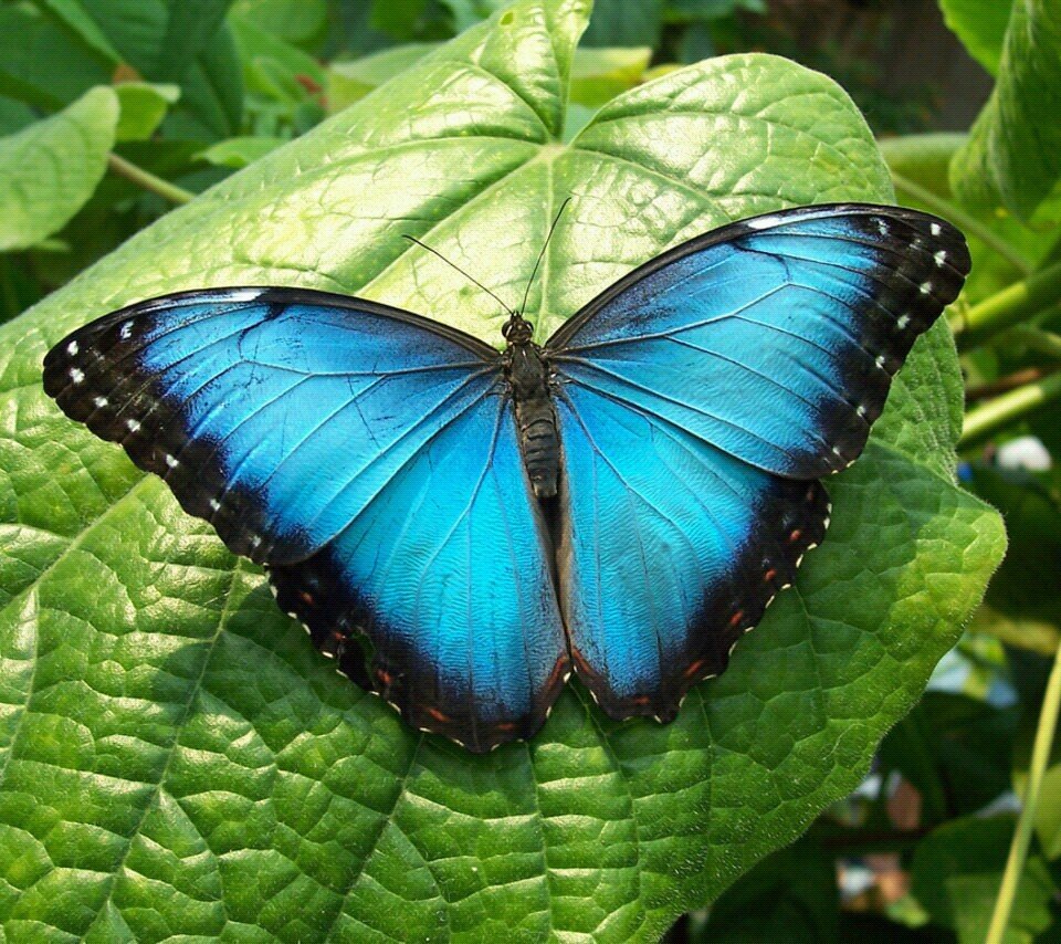 CBFuhrmeister's profile picture. 