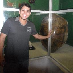 AndersonRS's profile picture. Bacharelando em Engenharia Elétrica