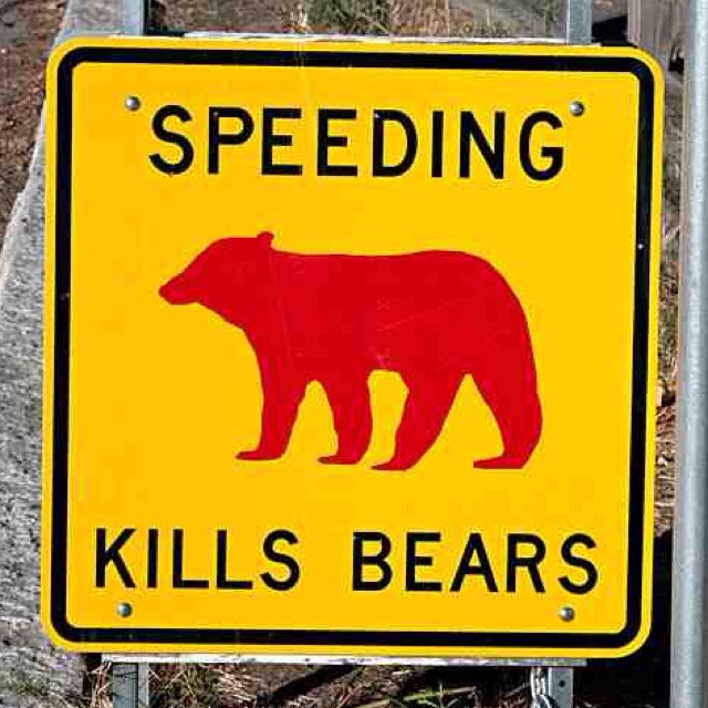 georgezgraham's profile picture. 