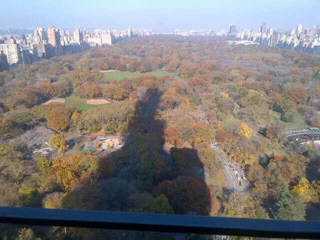 Central Park Sun