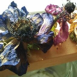 l'ombre est une tache de mémoire que l'oeil perçoit - e. jabès
