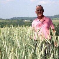 Master Thatchers Ltd (@masterthatcher2) 's Twitter Profile