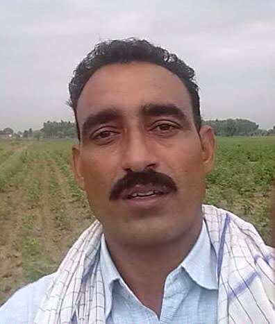 self
