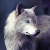 Для настоящего мужчины слово раздел - это глагол хорошо прошедшего времени.