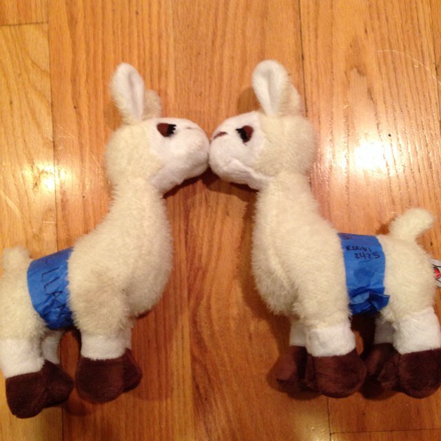 You think you could just hide me and neglect me? Now the Llamas in control.