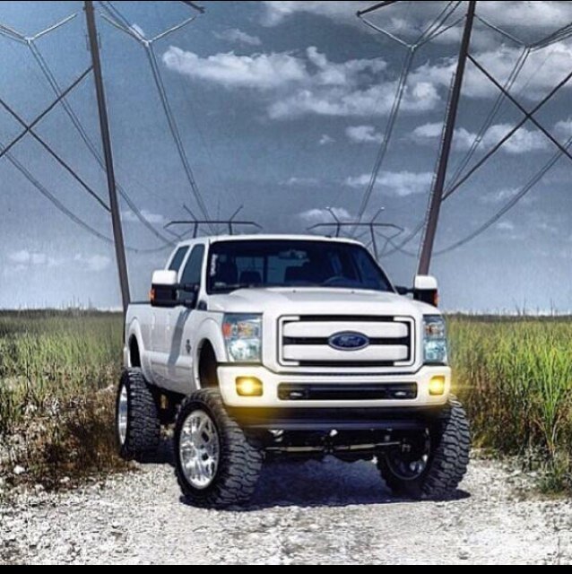 Stink__Bait's profile picture. 