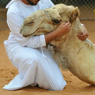 آللھٓم أعني ﻋﻟى ذِكرك وشُكرك وحِسن عِبآدتك ♥