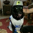 Tracy Ashcraft - @forsteno - Twitter