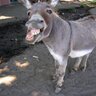 brianpiero's profile picture. 