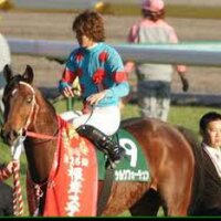 hidekiの上昇競馬 (@breaden516) 's Twitter Profile