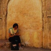 Lisa Qi (@lisaqi) 's Twitter Profile