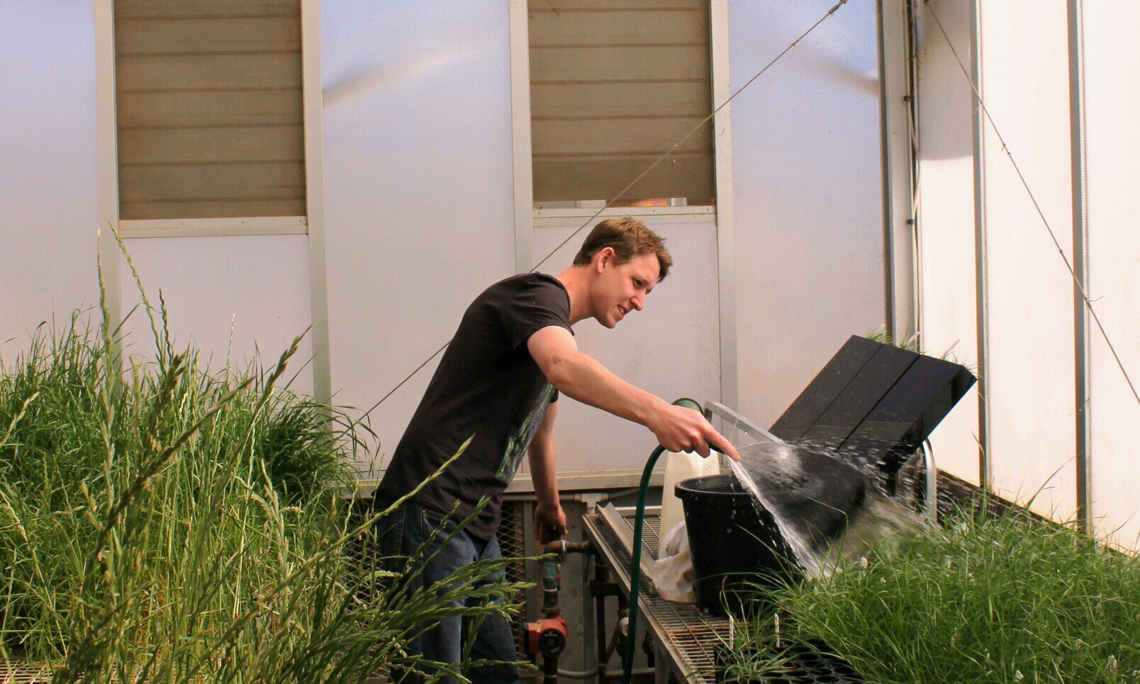 Agriculture and plant science. 
Researcher exploring  quandongs. 
Charles Sturt University.