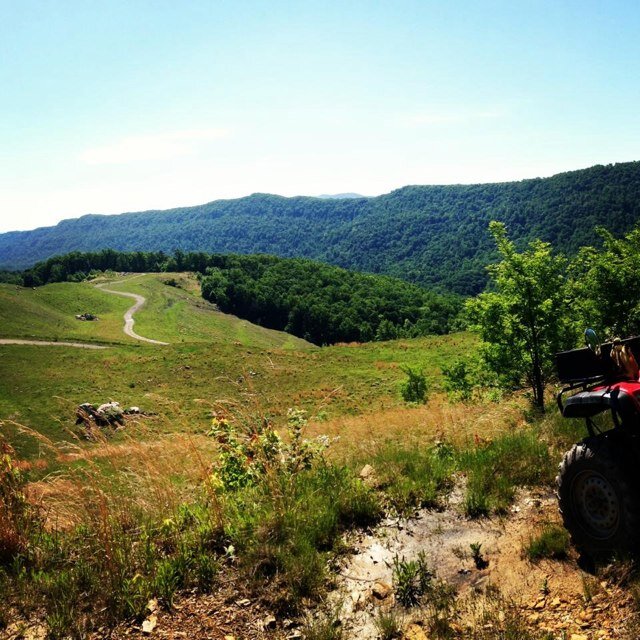 Joshlester8993's profile picture. average and simple minded. just trying ti be happy in life.