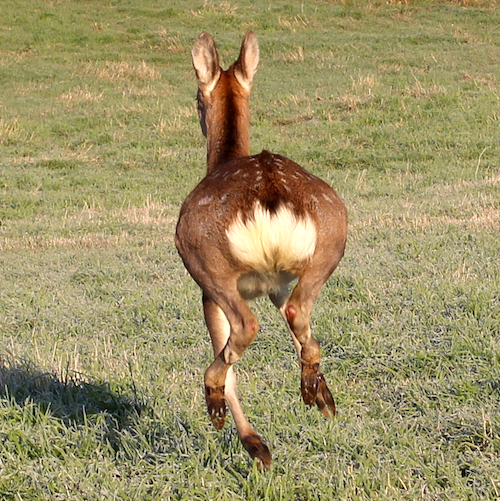 DoctorScmidt's profile picture. 💰金融資産はインデックスファンドを中心に2億円超・🇺🇸全米株式/オルカン/S&P500・VEA/VXUS増にリバランス中・👴アラ還になり出口戦略を考えています　天滅中共・勿忘六四・解救維吾爾・熊婦産