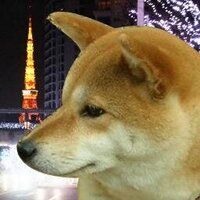 LongTime RUGBY Fan (@tokyo_plugin) 's Twitter Profile