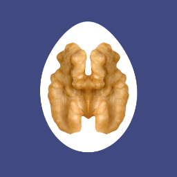 evgenyilyin's profile picture. SaaS, Software Development Teams, AI Research