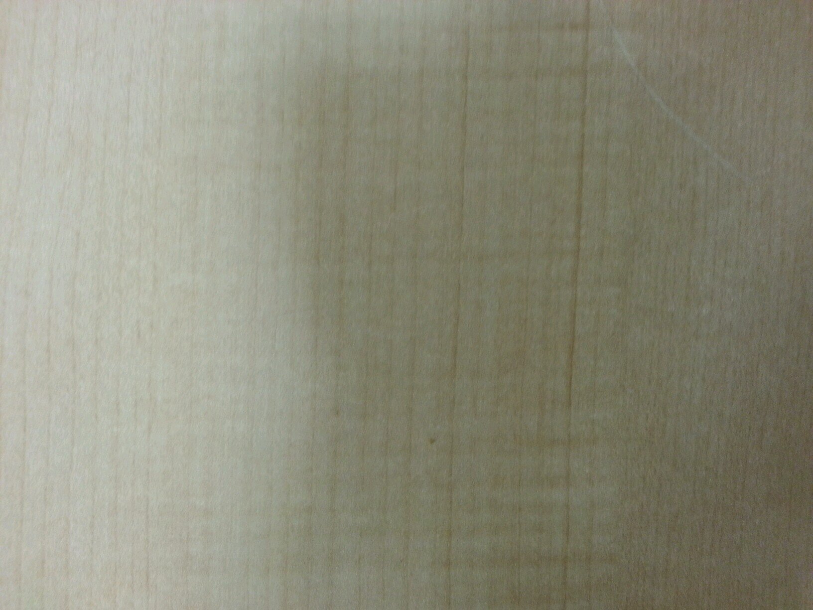 mohammd1111111's profile picture. 