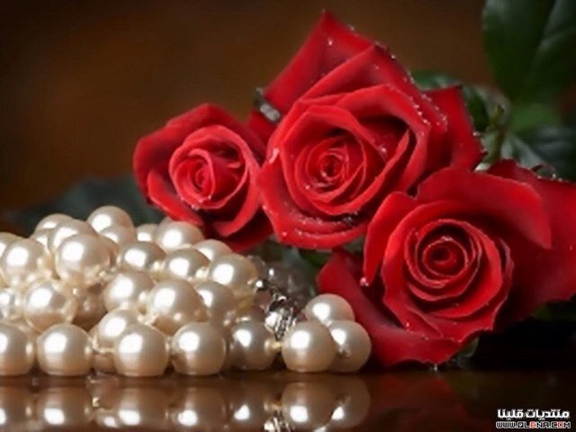 (وقل ربي أدخلني مدخل صدق وأخرجني مخرج صدق وأجعل لي من لدنك سلطاناً نصيرا)