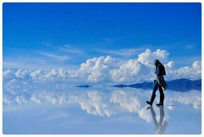 lemontree66's profile picture. 하늘의 거울