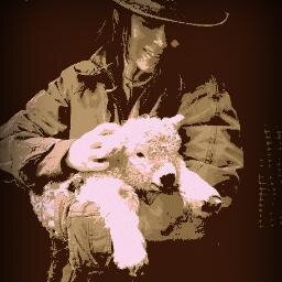 Fibre Artist, Alpaca Breeder, Rare Breed Sheep Breeder, Smallholder, Farmer, Spinner, Needle Felter, Mother, The Crafty Shepherd