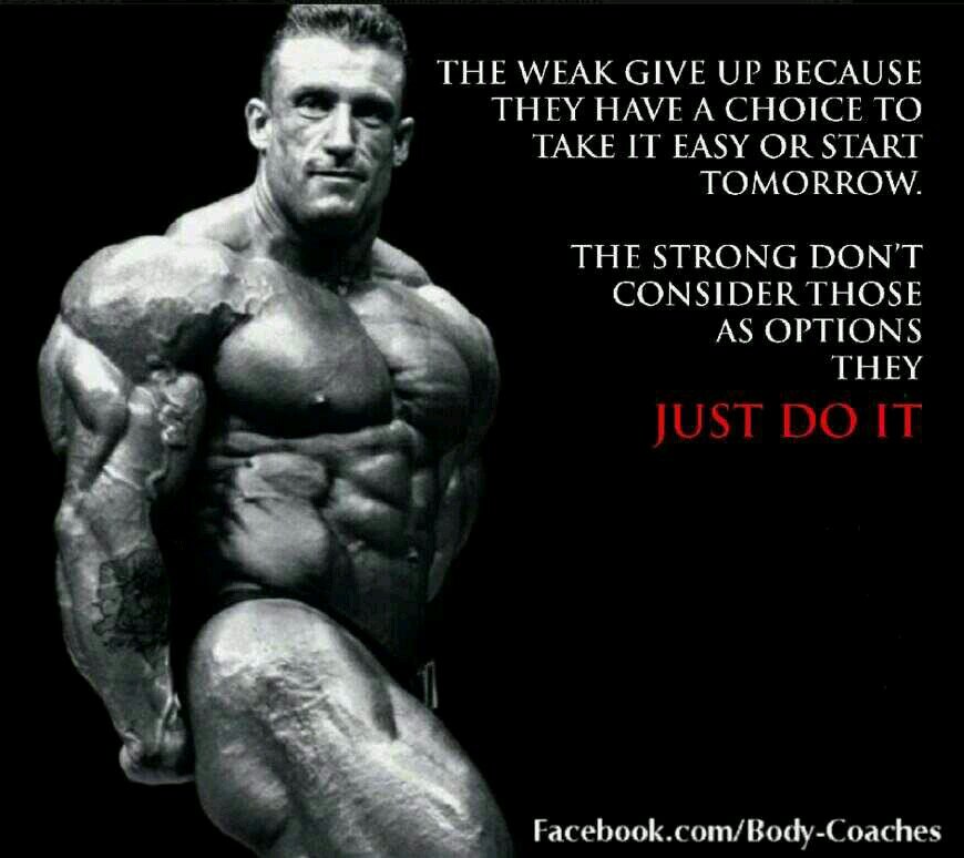 IrishBbuilder's profile picture. brutal honesty