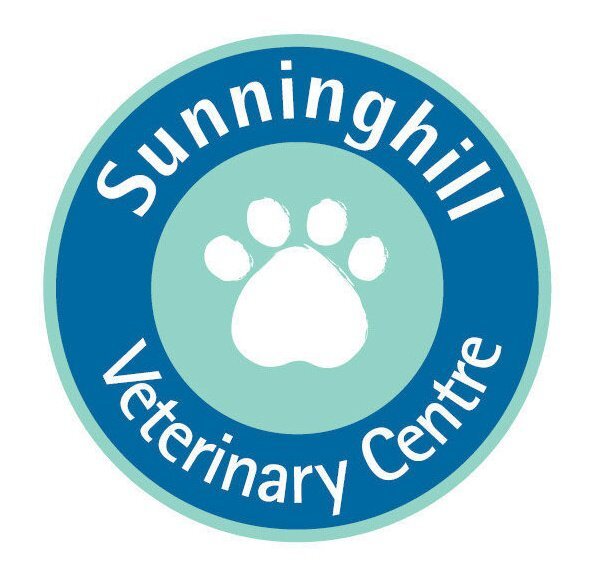 Berkshire based village Vet, providing your small animal friends with intimate care since 2006.