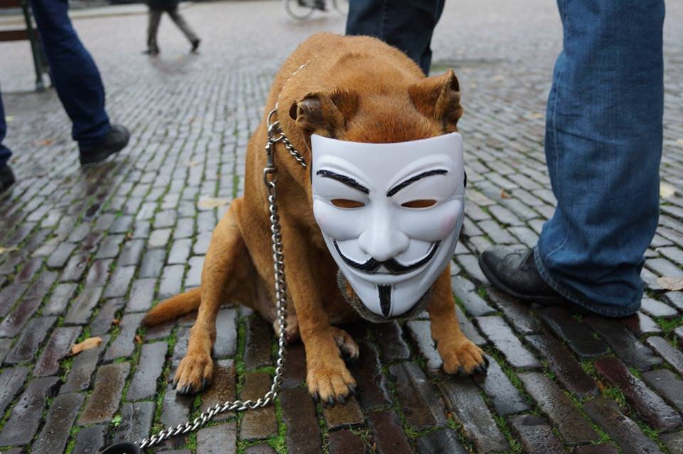 anonymous, occupy, afa, enz....