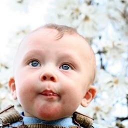 RobertM77771973's profile picture. 