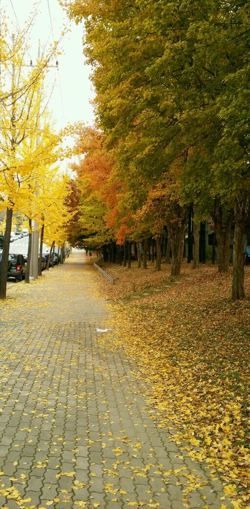 해피 소이캔들 캔들뱅크에 오신것을 환영~환영합니다.