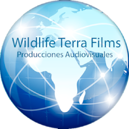 Productor audiovisual