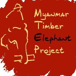 Research group studying ecology, evolution and conservation of Asian elephants in Myanmar