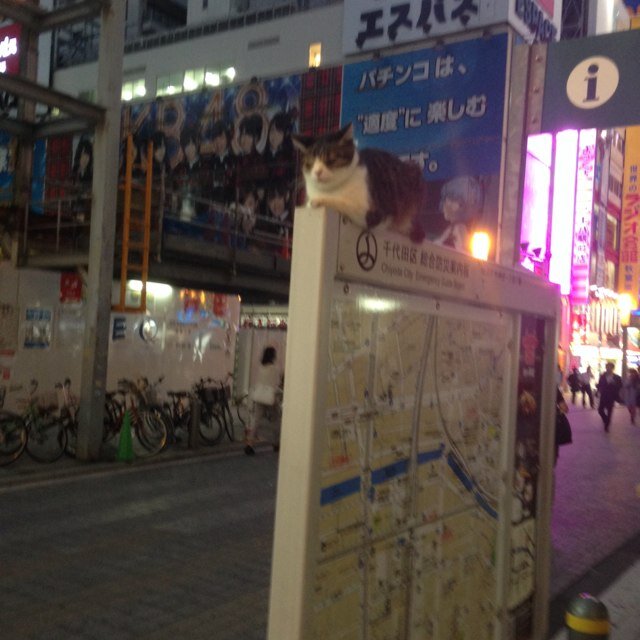 わかる人にはわかる やり取りDMで！