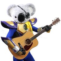 こあら ラジエターコアガード ラージロゴ / シルバー ZX-25R 20-22 23