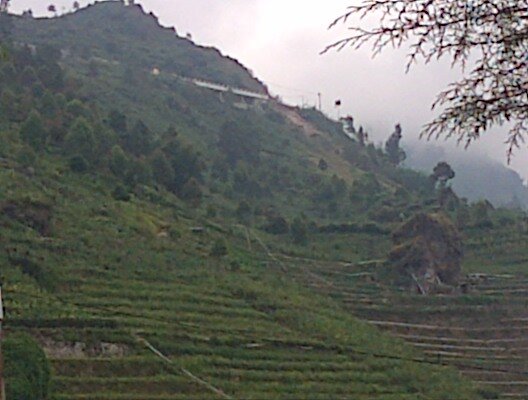 adin_n44's profile picture. Ilkom'09