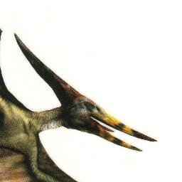 プテラノドン Pteranodon Japaneseclass Jp