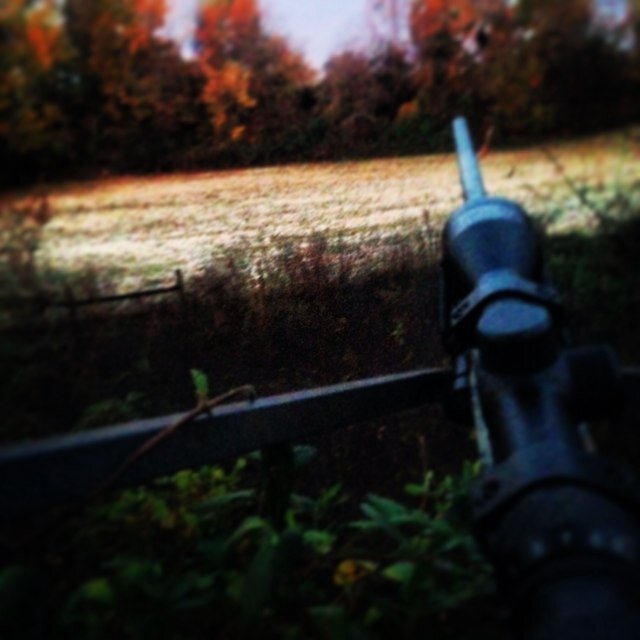 wcteeters2000's profile picture. 