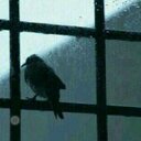 MUNA (@11Mnawi) Twitter