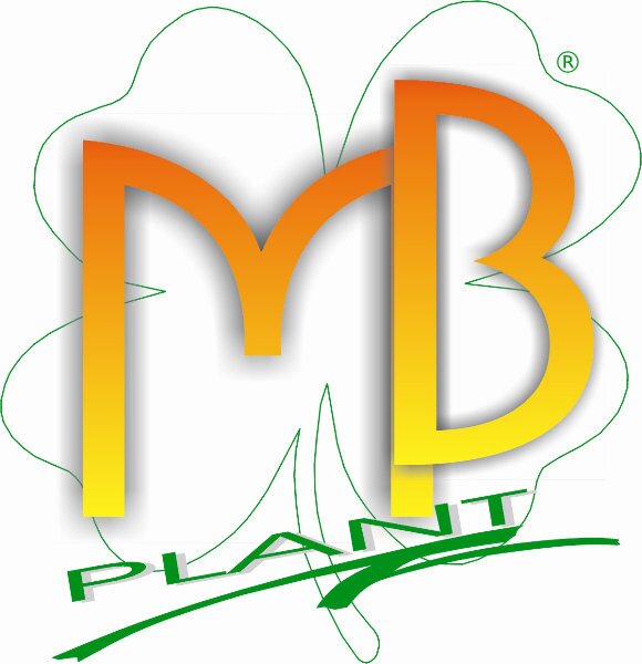 MB PLANT SRL