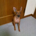 ☆사랑☆ (@13kChi) Twitter