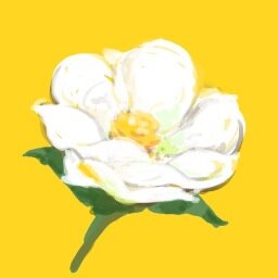 せ(:3)いこSさんのプロフィール画像