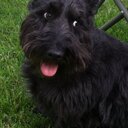 Amy Baumler - @ambaum22 - Twitter