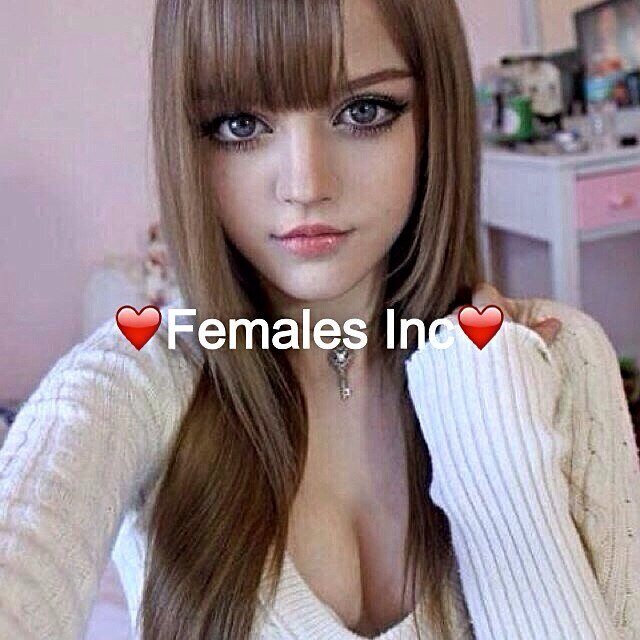 Follow @femalesinc new account!!
❤❤❤❤❤❤❤❤❤❤❤❤