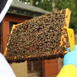 East Lancashire Beekeepers Association - Supporting beekeepers and promoting beekeeping in East Lancashire.