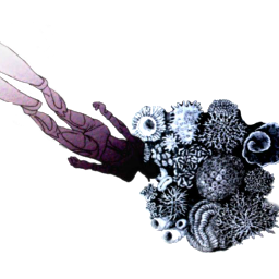 projek57's profile picture. #projek57 is a community enhancement & sports promotion programs via freediving & coral propagation program